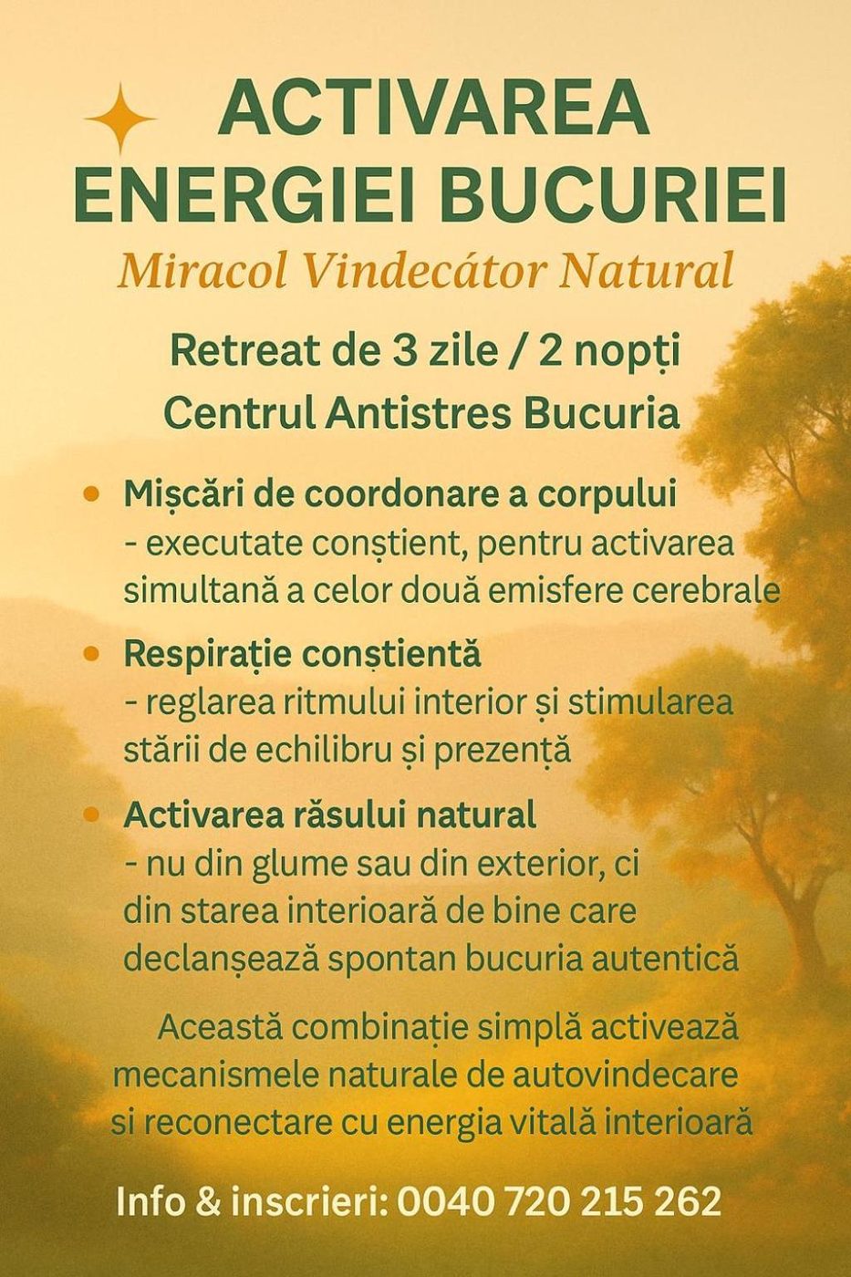 Afiș retreat Activarea Energiei Bucuriei, 3 zile / 2 nopți